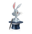 white rabbit and magic hat vector image