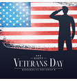 usa veterans day poster eps10 vector image