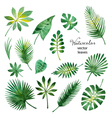 set of watercolor green leaves vector image