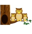 owl family vector image
