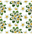 plumeria seamless pattern vector image vector image