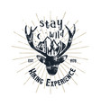 hand drawn vintage camping badge and hiking label vector image vector image