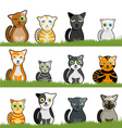 cartoon cats vector image