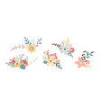 Floral spring bouquet nature set isolated Vector Image