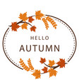 hello autumn maple leaf circle frame background ve vector image