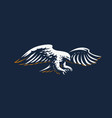 flying eagle vector image
