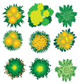 plants and trees top view set 4 for landscape vector image