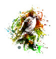 color of a soccer player vector image vector image