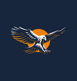 flying eagle vector image