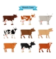 cow flat icons vector image vector image