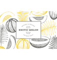 melons with tropical leaves design template hand vector image