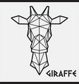 abstract polygonal geometric head a giraffe vector image