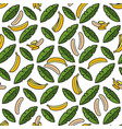 seamless pattern with palms and bananas vector image vector image