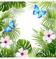 background with tropical plants vector image
