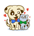 funny pets cat with dog logo vector image