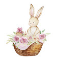 watercolor spring easter bunny in a basket vector image vector image