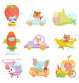 cute baby animals in transport set raccoon tiger vector image