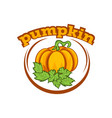 on theme logo for pumpkin still life vector image