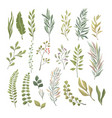 set green leaves and branches fresh vector image