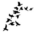 drawing flying birds silhouettes vector image