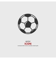 soccer ball vector image vector image