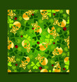 decorative element with skull and sheet vector image vector image