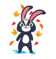 bunny character with falling leaves autumn season vector image vector image