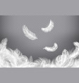 white feather background closeup bird or angel vector image vector image