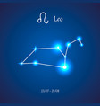 zodiac constellation leo the lion vector image