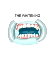 in teeth whitening dentistry vector image