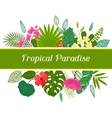 tropical paradise card with stylized leaves vector image