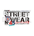 street wear vector image