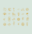 symbols flat light turquoise vector image vector image