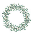 round wreath with silver dollar eucalyptus vector image vector image