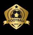 football badge gold vector image