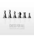 chess pieces on a gray background vector image