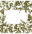 bohemian romantic decor vintage botanical vector image vector image