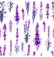 lavender in provence field seamless pattern vector image