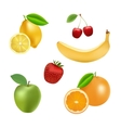 set of fruits and berries vector image