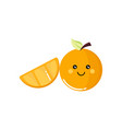 orange fruit vector image