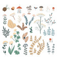 autumn forest herbs and flowers floral elements vector image