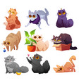 cute pets cats and kittens in different poses vector image