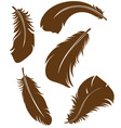 feather set vector image