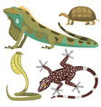 reptile and amphibian colorful fauna vector image