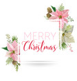 winter christmas flowers greeting card vector image