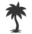 jungle tree icon black tropical palm silhouette vector image vector image