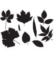 silhouettes of leaves vector image