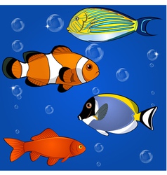 Funky fish Royalty Free Vector Image - VectorStock