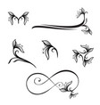decorative floral element collection for designing vector image