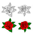 hand drawn roses coloring page vector image
